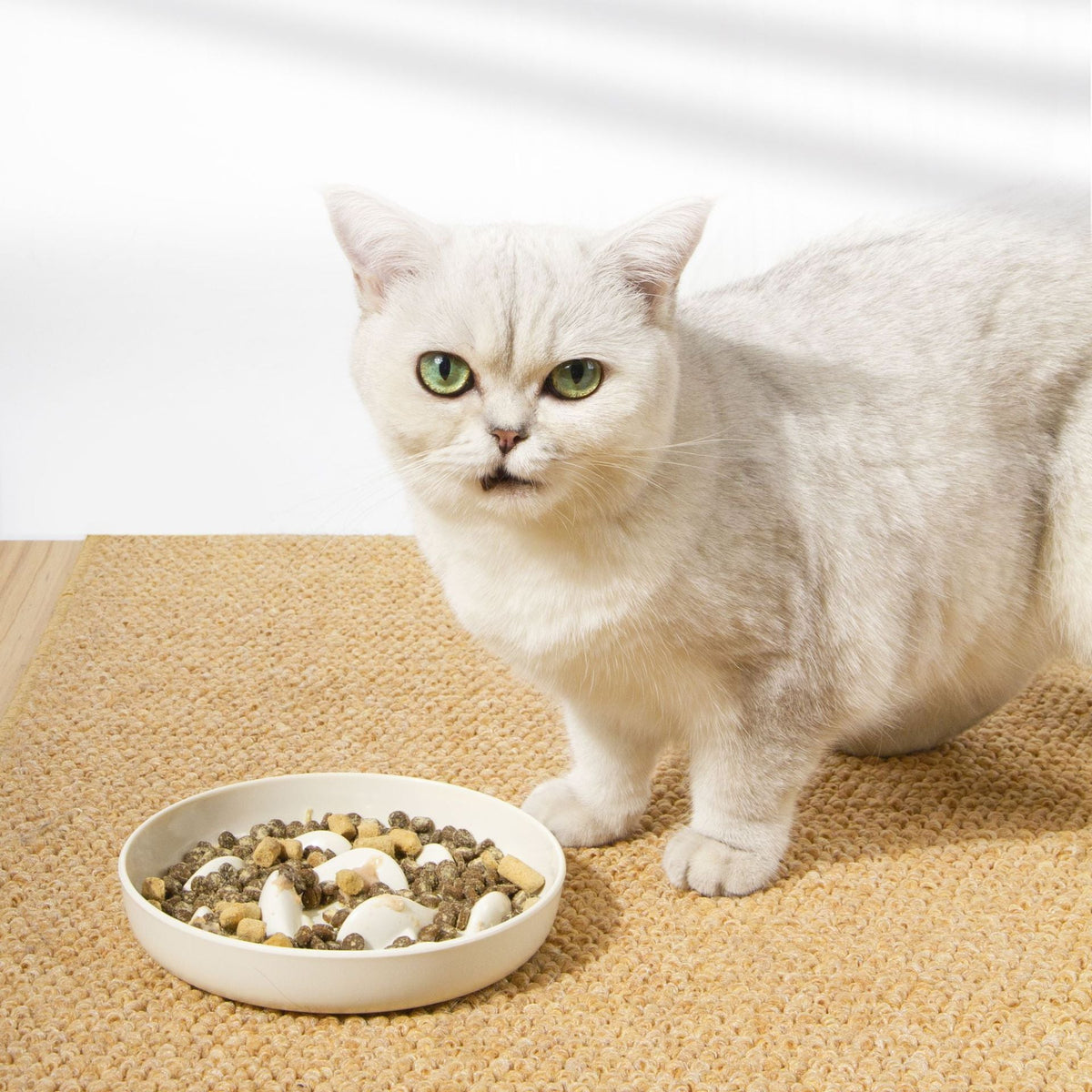 Dogs And Cats Slow Feeding Bowl Pet Bowl Cat Slow Tableware Feeder