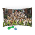 Puppies Start of Summer Vacation Pet Bed
