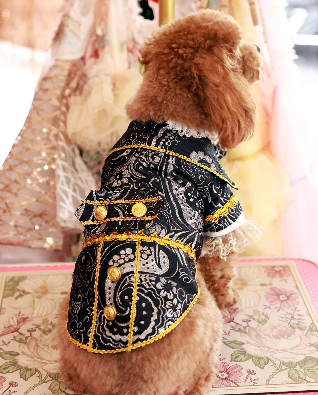 Black and Gold Royal Pet Tuxedo