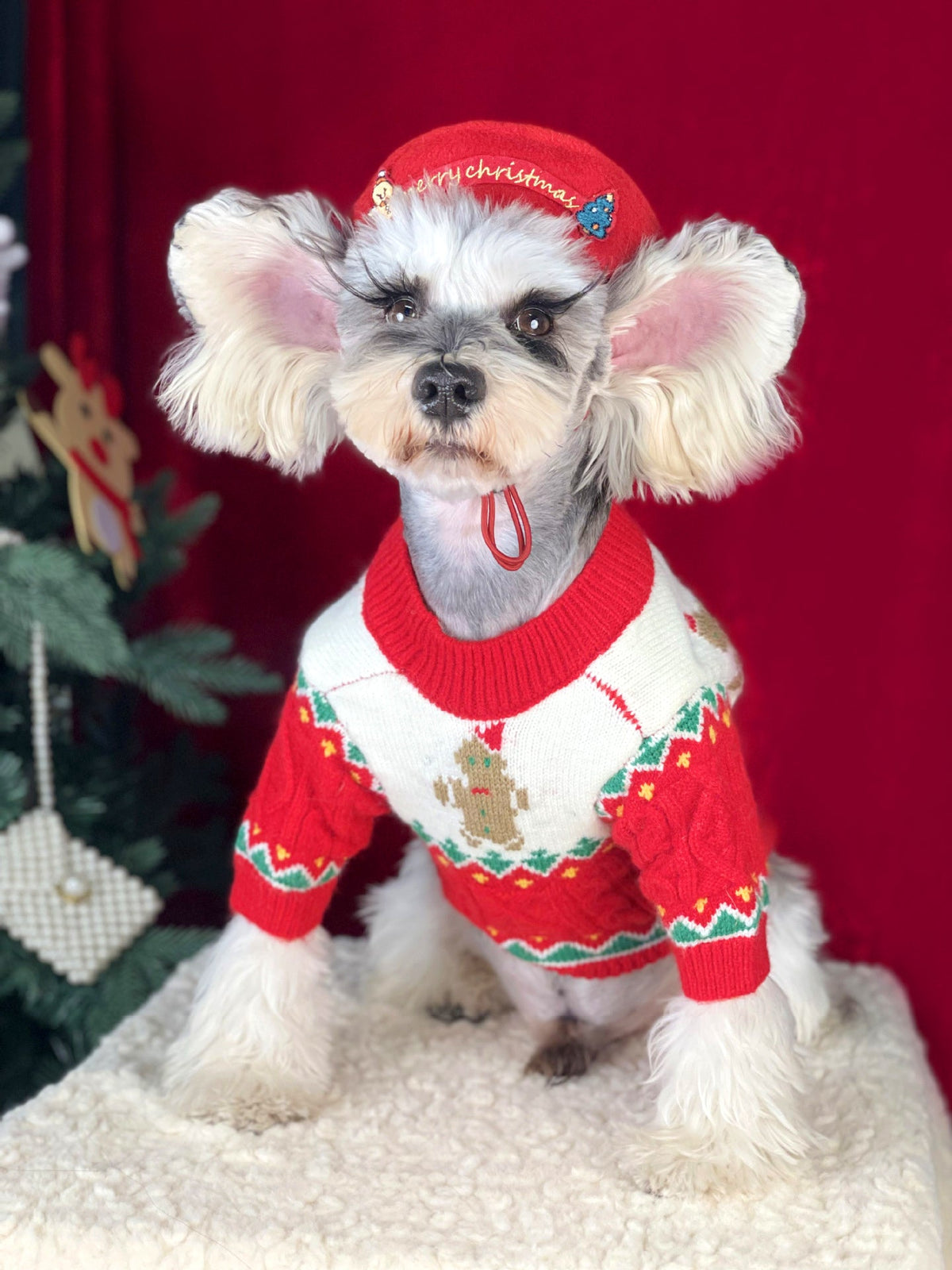 Gingerbread Christmas Knit Dog Sweater