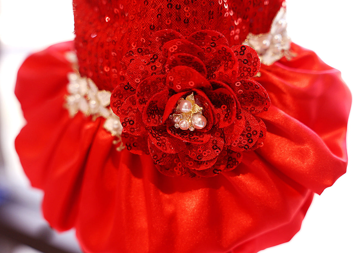 Red Sequin Dog Dress with Pearl Lace Details