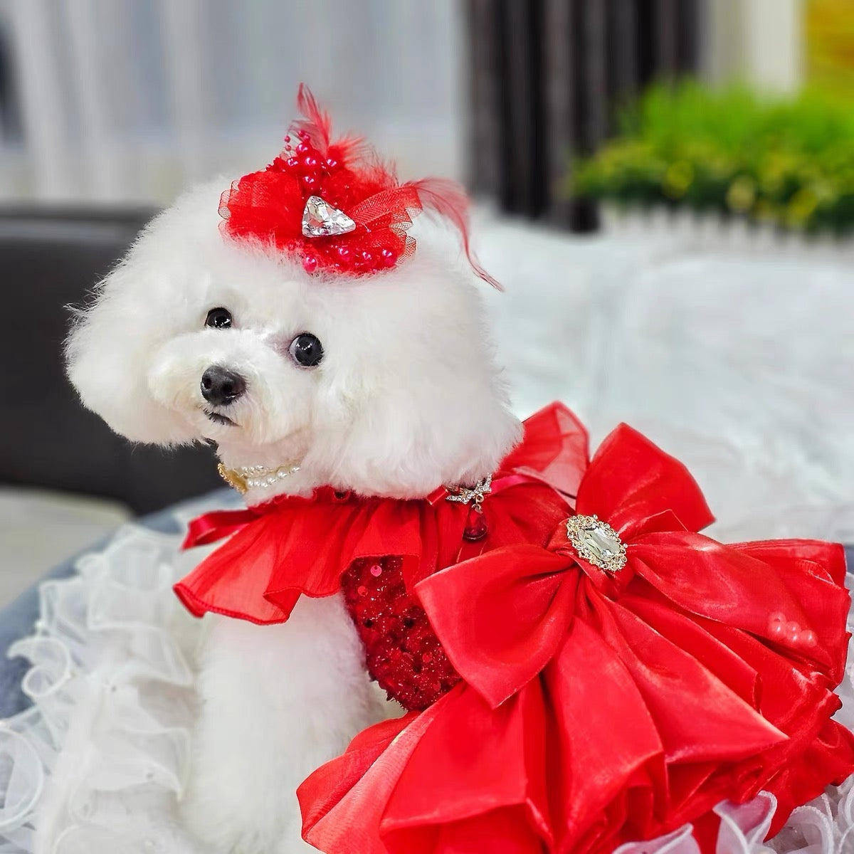 Red Princess Dog Dress with Tulle Skirt