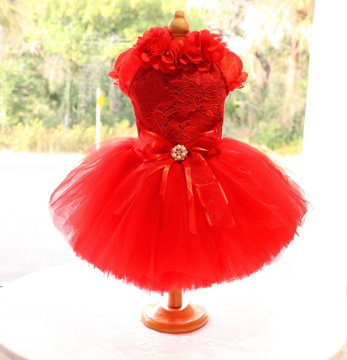 Red Rose Fairytale Dog Wedding Dress