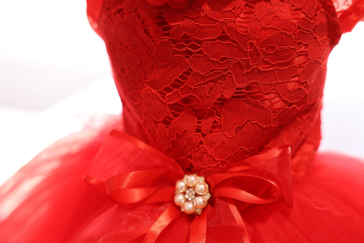 Red Rose Fairytale Dog Wedding Dress