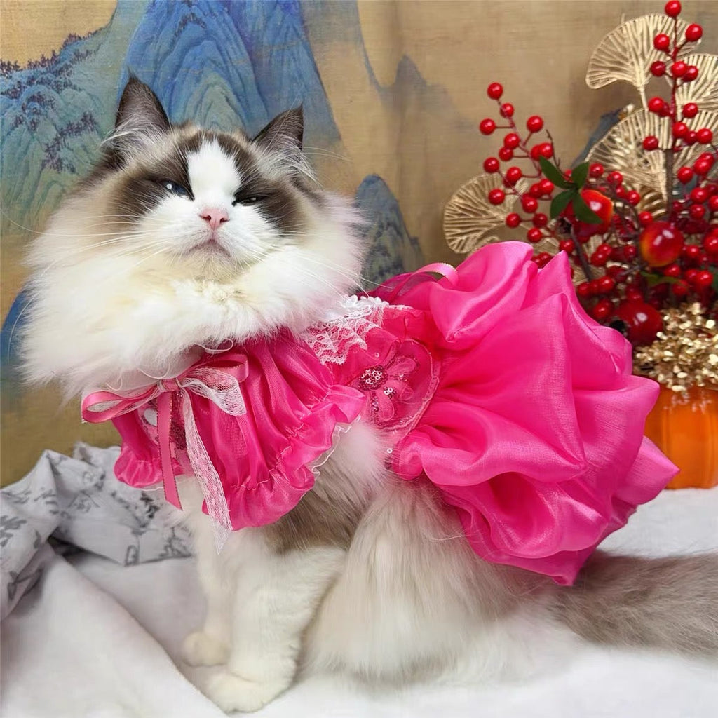 Hot Pink Lace Dog Party Dress