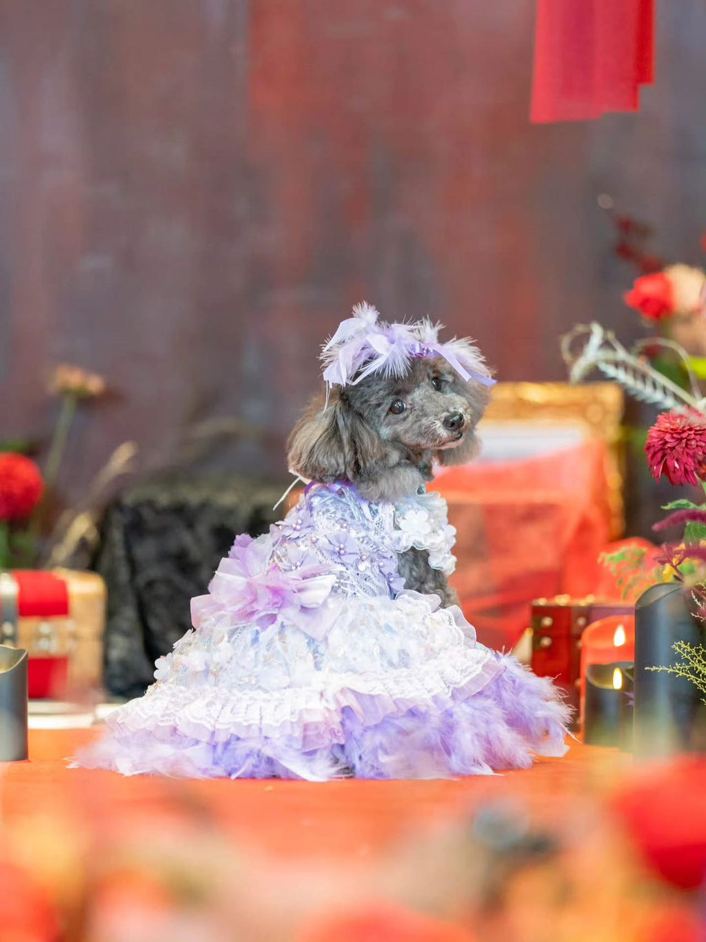 Feather Dream Princess Dog Dress
