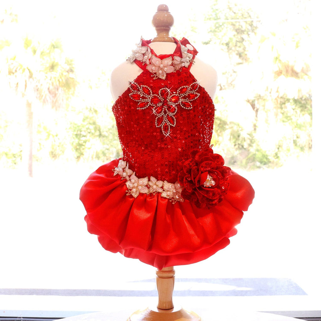 Red Sequin Dog Dress with Pearl Lace Details