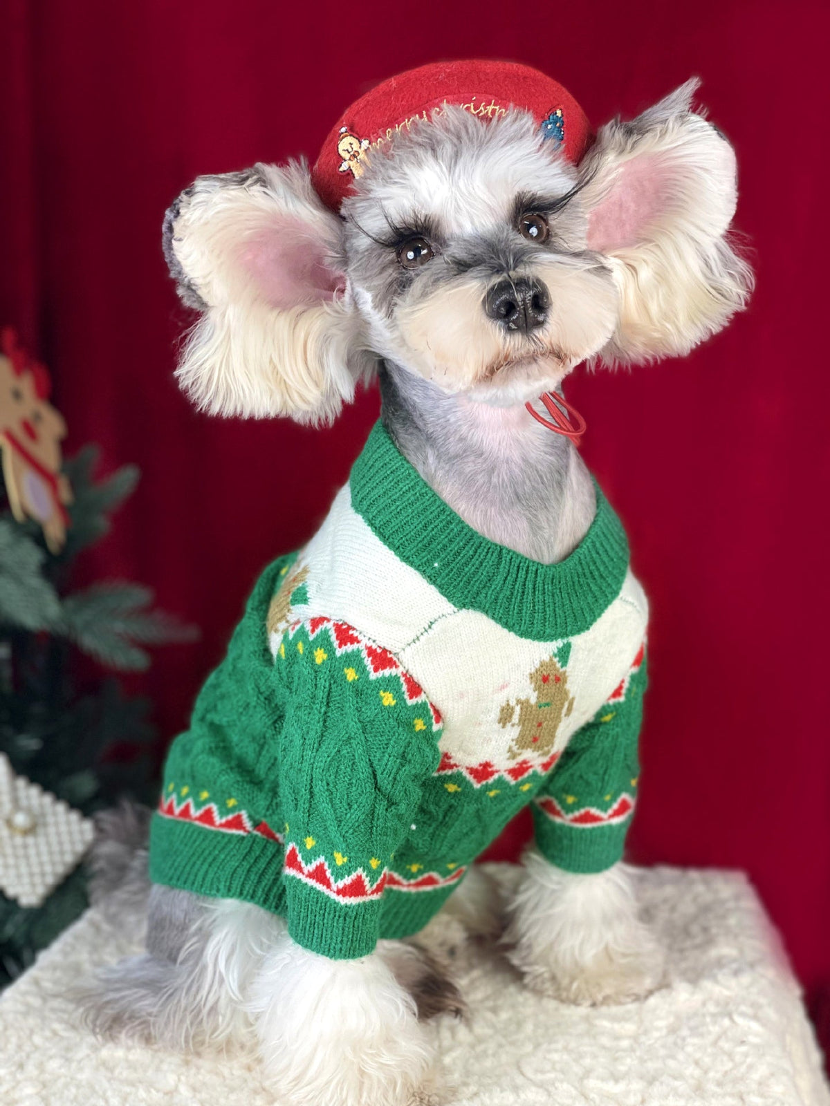 Gingerbread Christmas Knit Dog Sweater