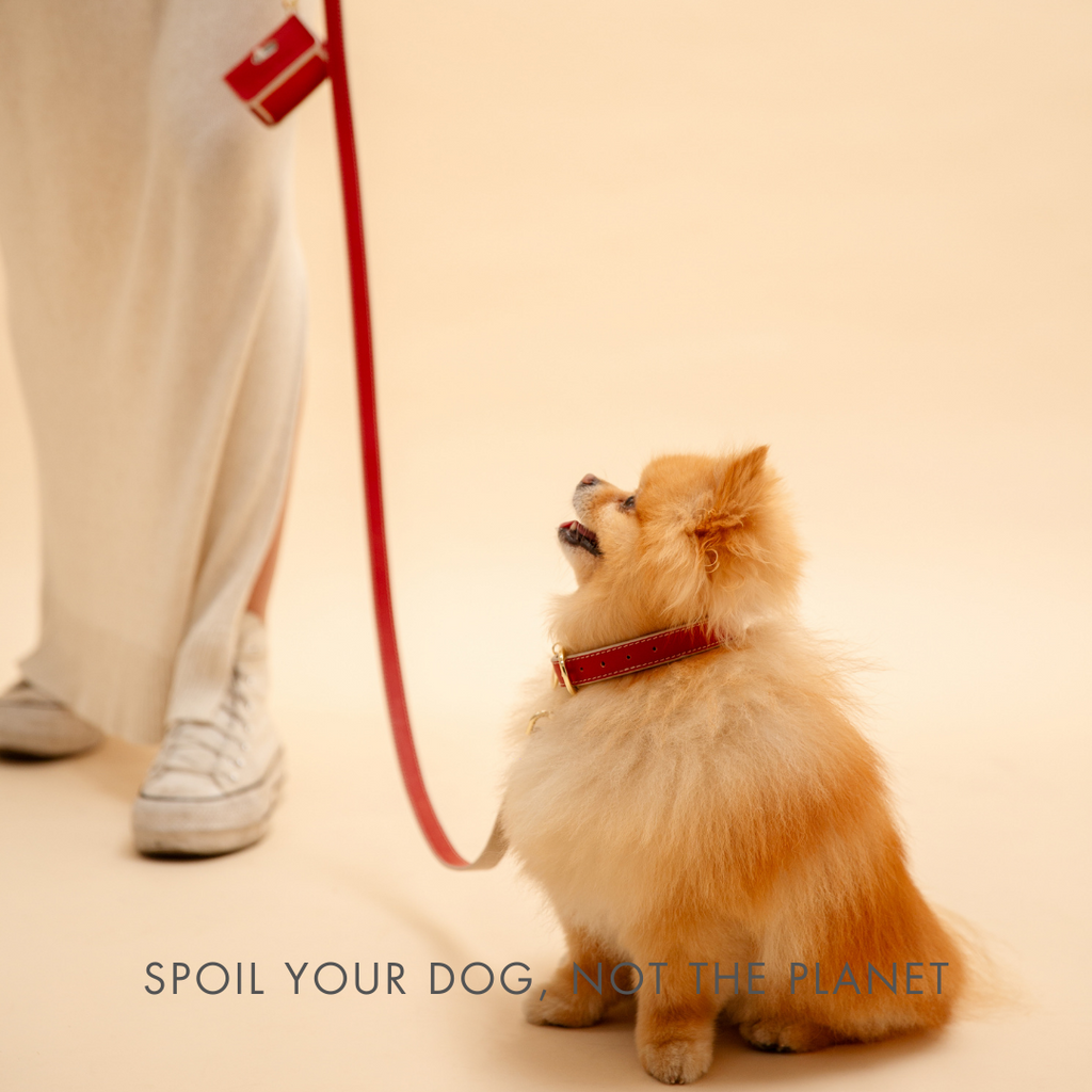 Leash 4ft - Vegan Leather - Copenhagen