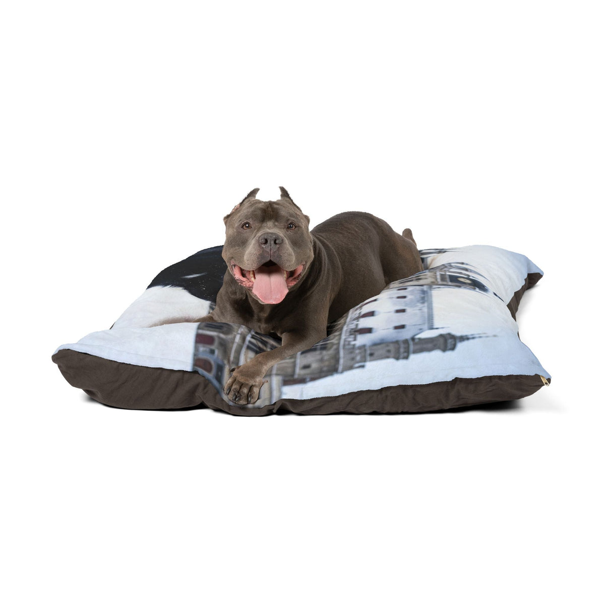 Schipperke Pet Bed