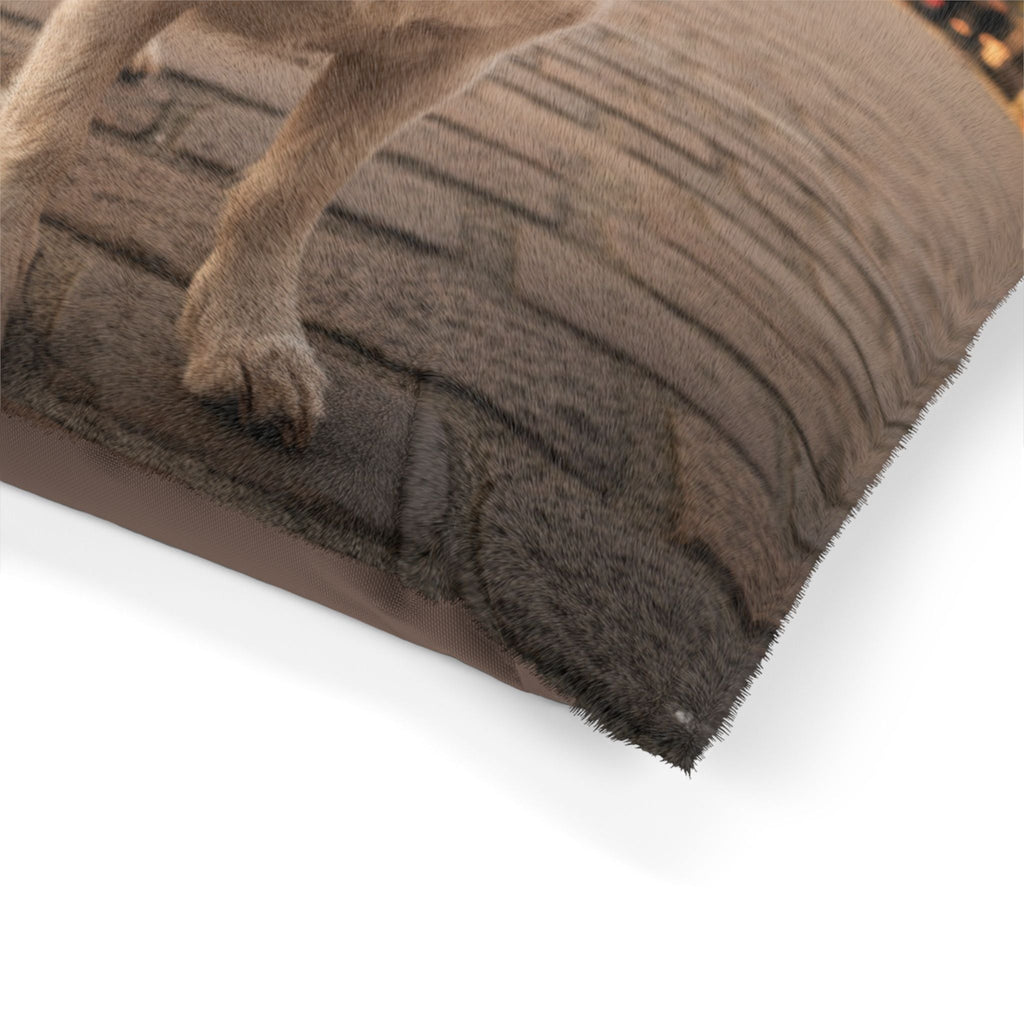 Petit Basset Griffon Pet Bed