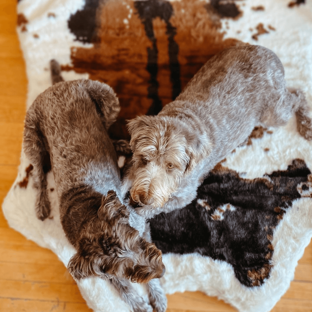 PupRug® Animal Print Memory Foam Dog Bed - Brown Faux Cowhide