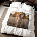 Petit Basset Griffon Blanket