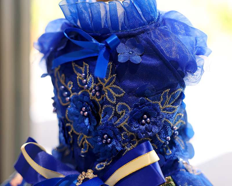 Royal Blue Blossom Dog Dress with Floral Tutu Skirt