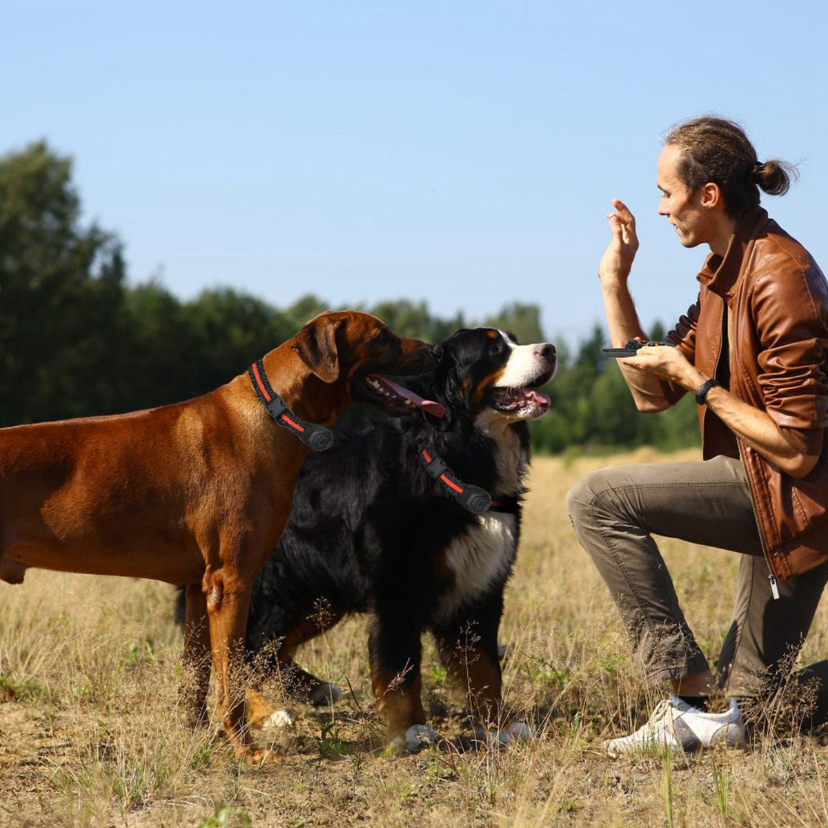 GBruno IPX7 Waterproof Dog Training Collar