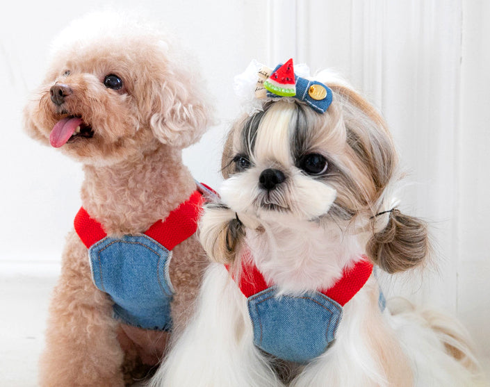 Denim Dog Overalls with Matching Hat