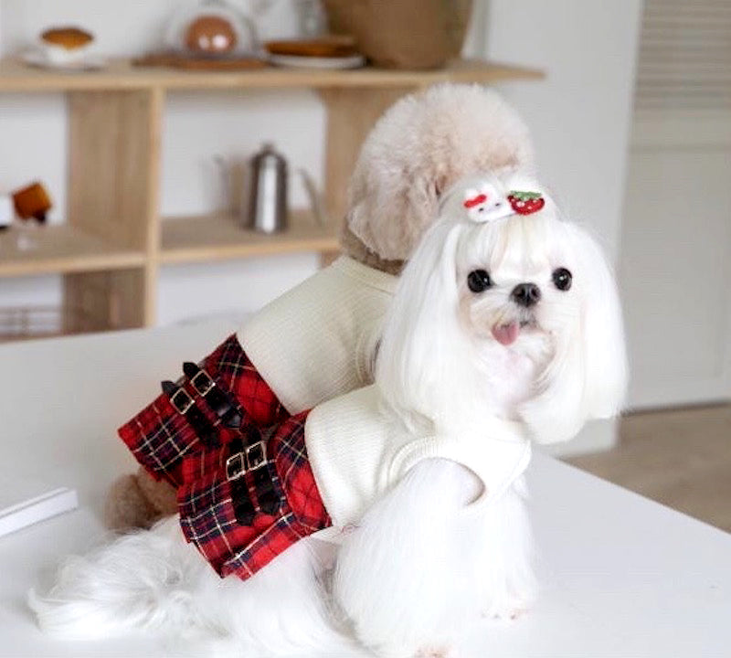 Plaid Dog Kilt Skirt Sweater