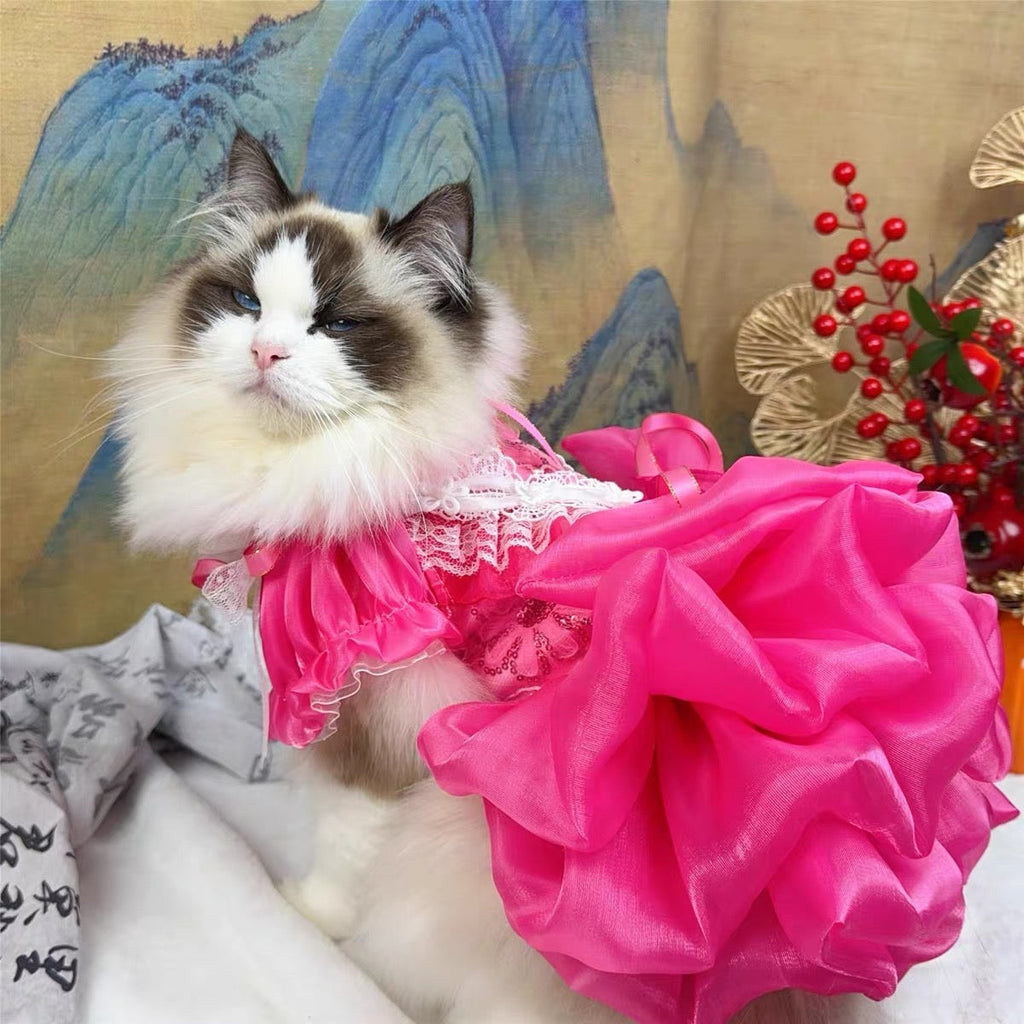 Hot Pink Lace Dog Party Dress