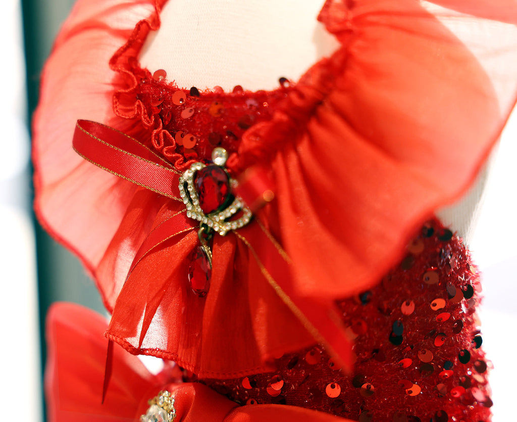 Red Princess Dog Dress with Tulle Skirt