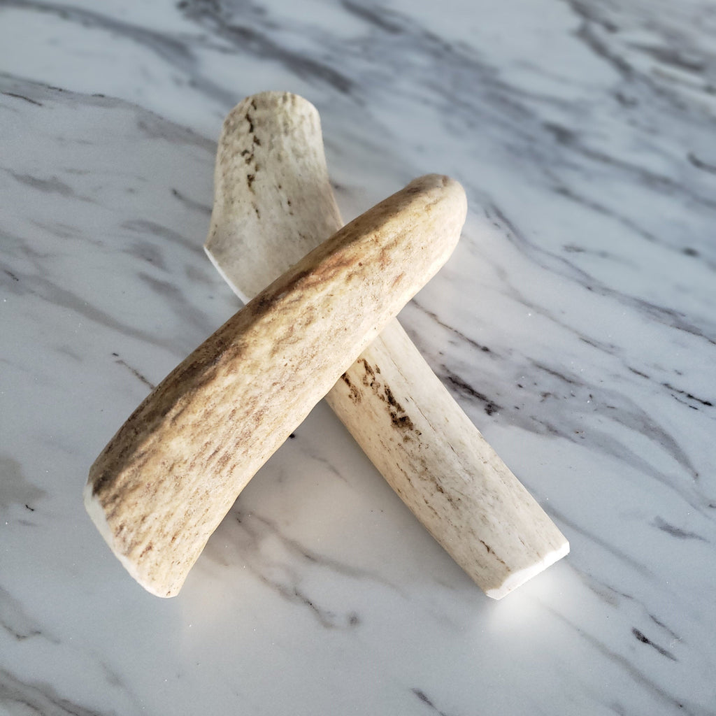 Medium Whole Elk Antler Dog Chew