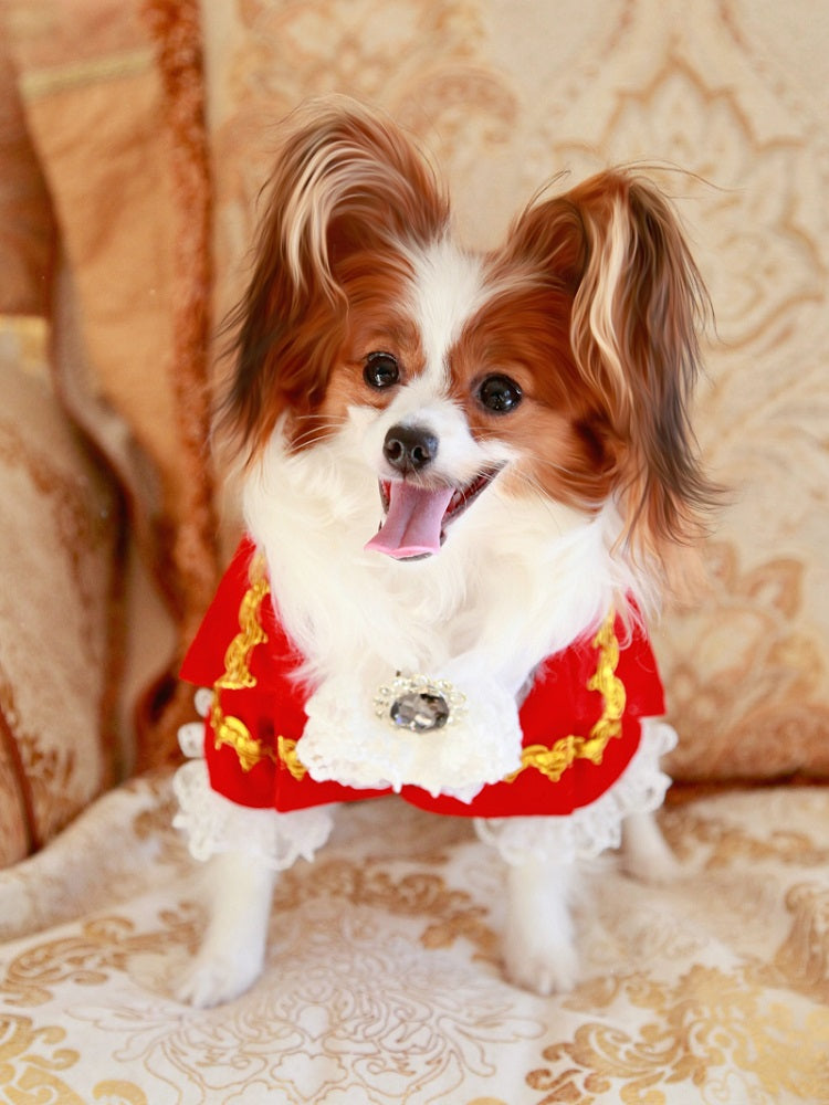Red French Court Dog Tailcoat Suit