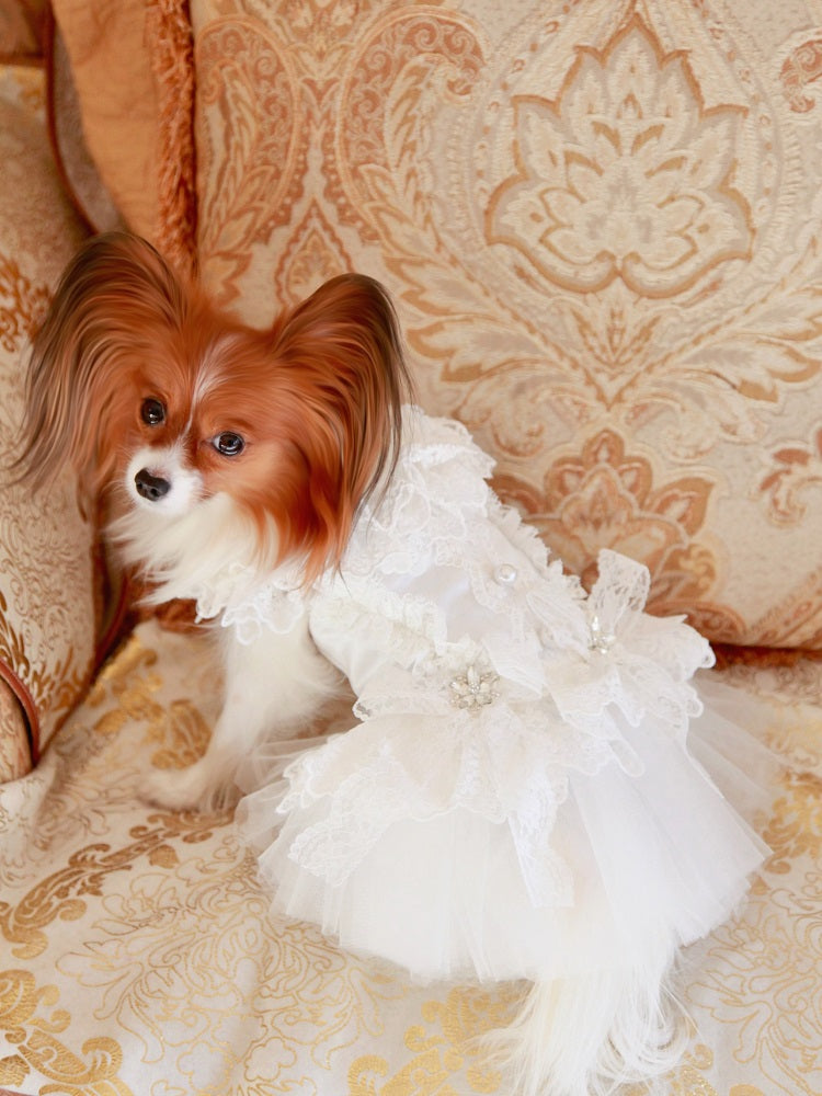 White Lace Vintage Dog Wedding Dress