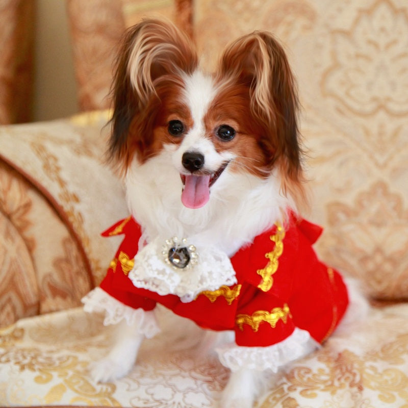 Red French Court Dog Tailcoat Suit