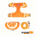 Orange Fruit Dog Harness and Leash Set with Mini Pouch