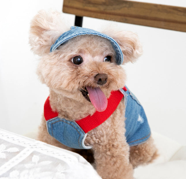 Denim Dog Overalls with Matching Hat