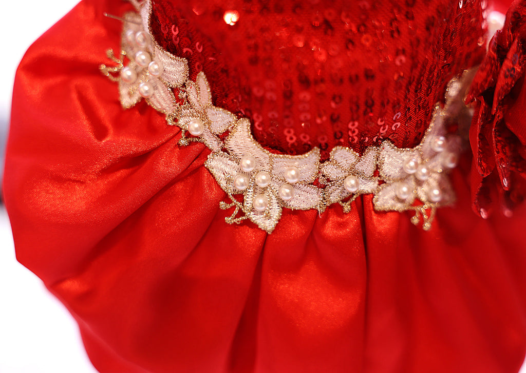 Red Sequin Dog Dress with Pearl Lace Details