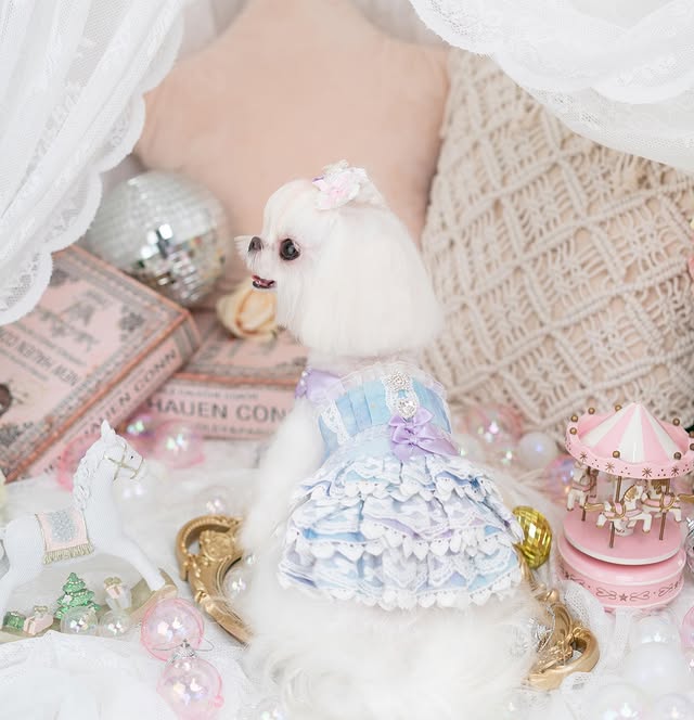 Luxury Layered Ruffle Dog Dress | Blue Princess Puppy Dress with Lace & Satin Bows