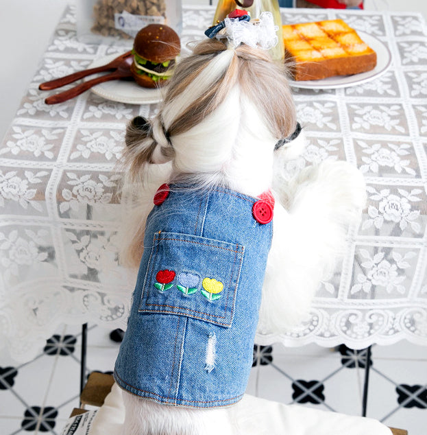 Denim Dog Overalls with Matching Hat