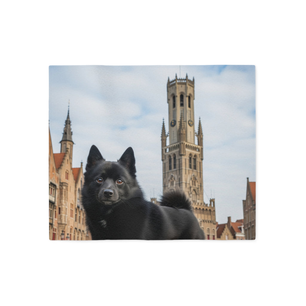 Schipperke Blanket
