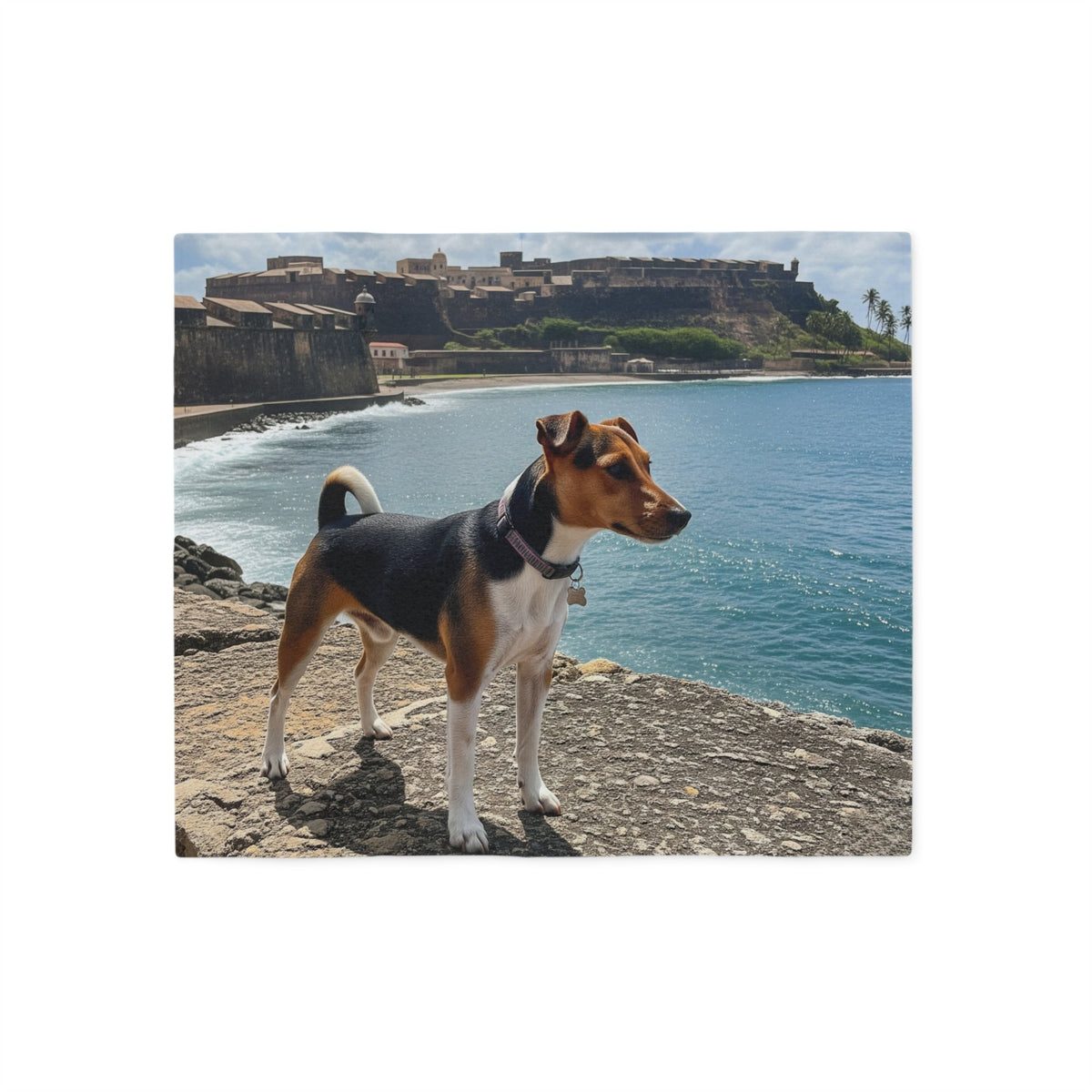 Teddy Roosevelt Terrier Blanket