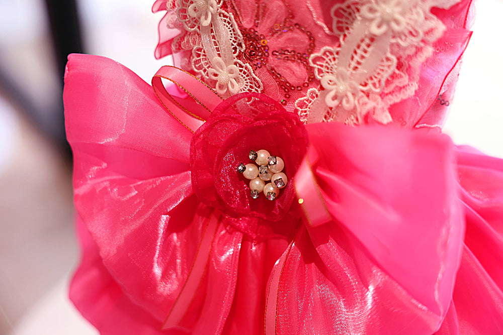 Hot Pink Lace Dog Party Dress