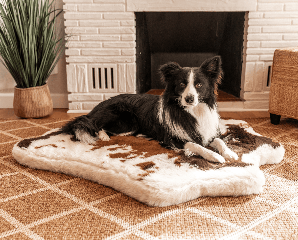 PupRug® Animal Print Memory Foam Dog Bed - Brown Faux Cowhide