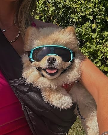 Wraparound Dog Goggles for Small Dogs