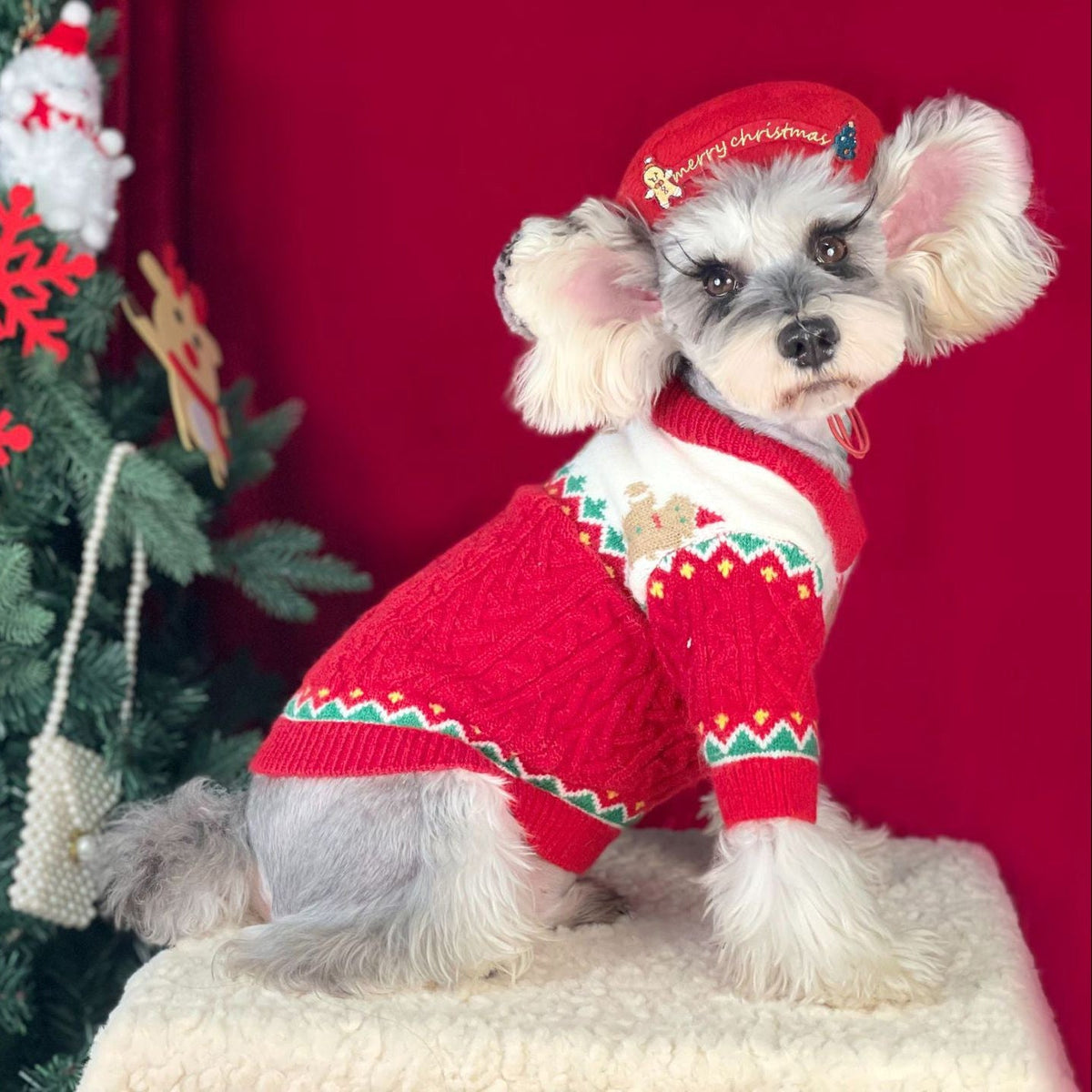 Gingerbread Christmas Knit Dog Sweater