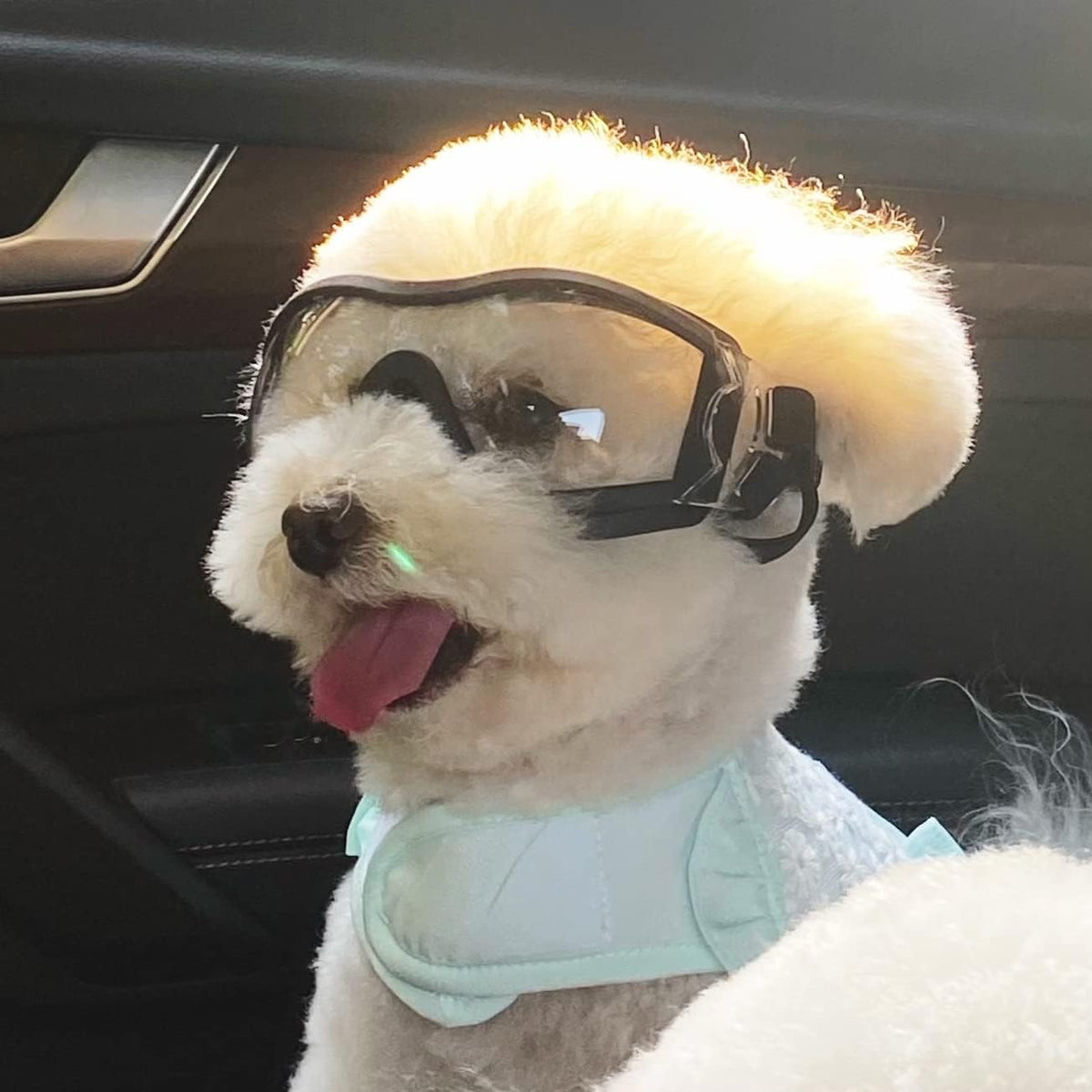 Large Dog Ski Goggles with Adjustable Straps