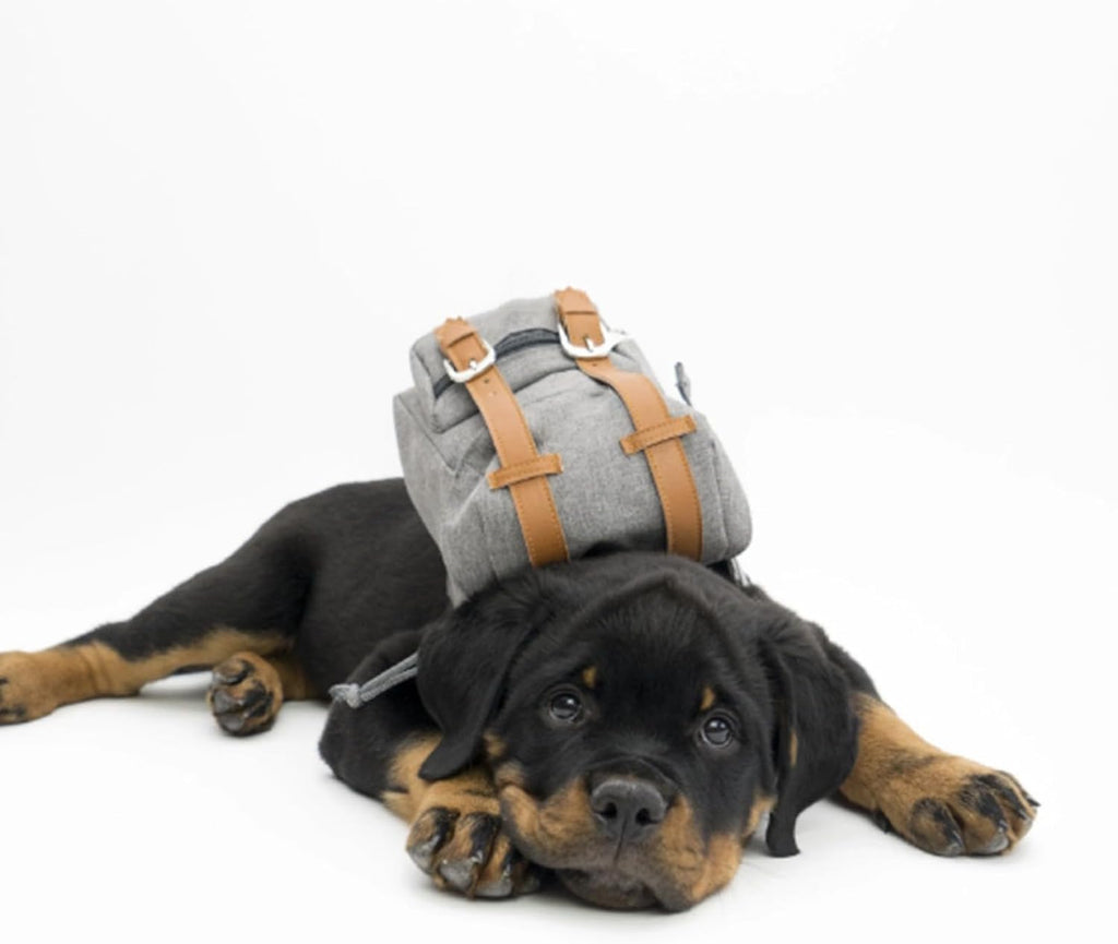 Gray Mini Dog Backpack with Waste-Bag Dispenser