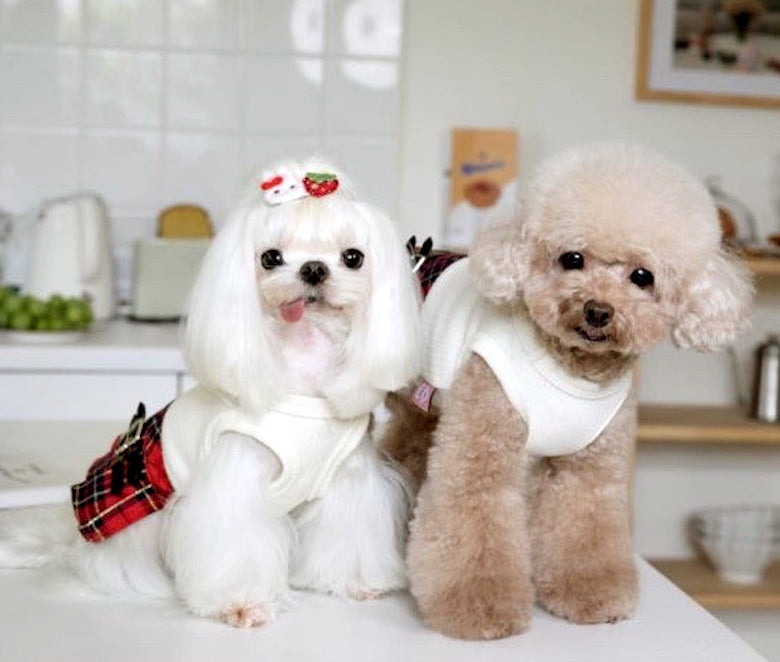 Plaid Dog Kilt Skirt Sweater