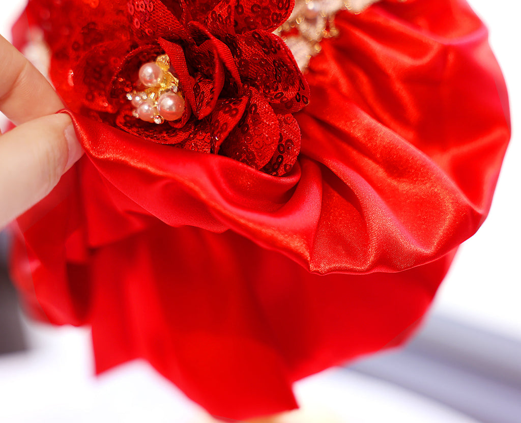Red Sequin Dog Dress with Pearl Lace Details