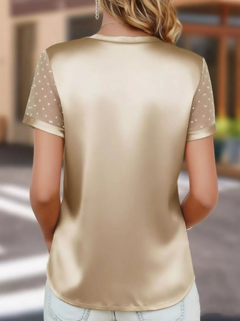 Sheer Sleeve V-Neck Top