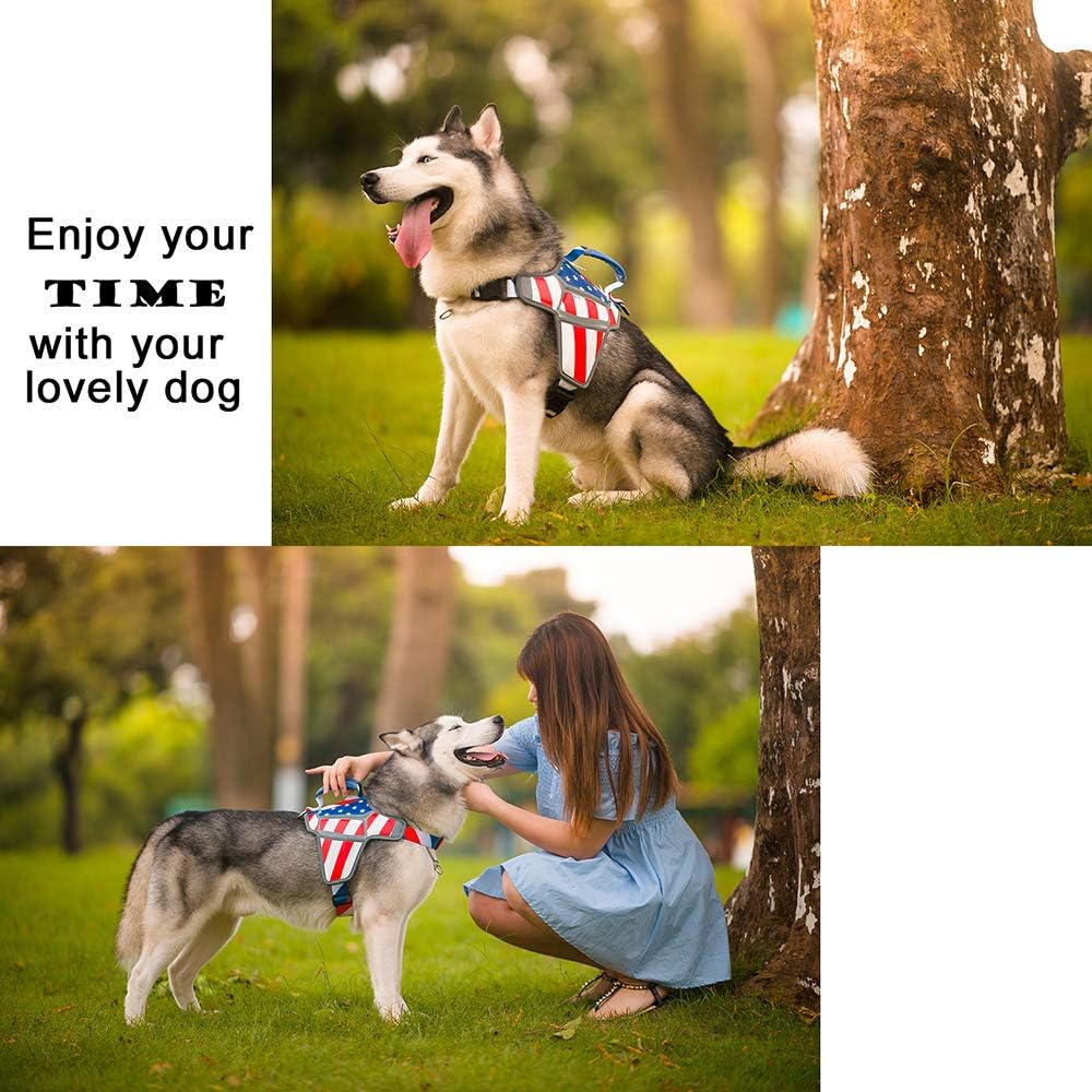 USA Patriotic Star Dog Harness + Leash Set