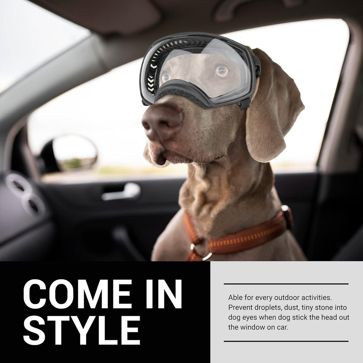 Tactical Dog Goggles for Large Dogs