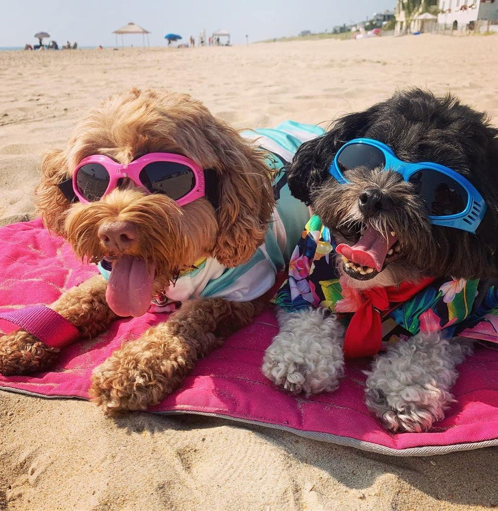 Cat-Eye Dog Sunglasses with Adjustable Strap