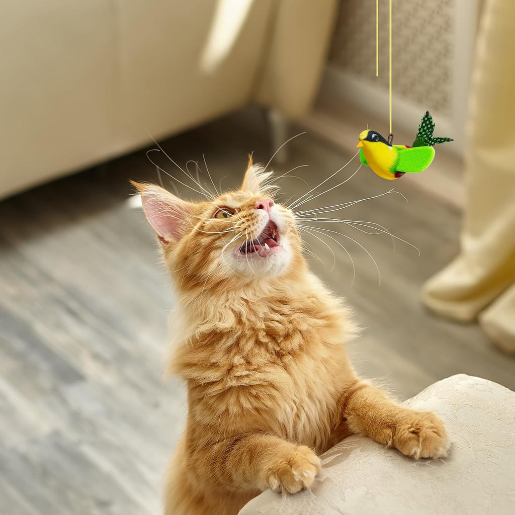 Hanging Bird Cat Toy with Elastic Cord