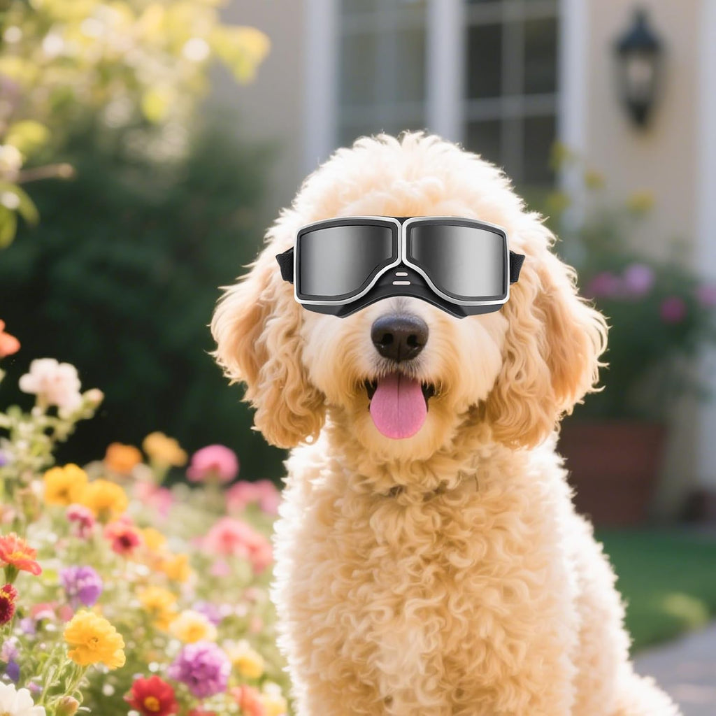 Pilot-Style Dog Goggles for Large Dogs