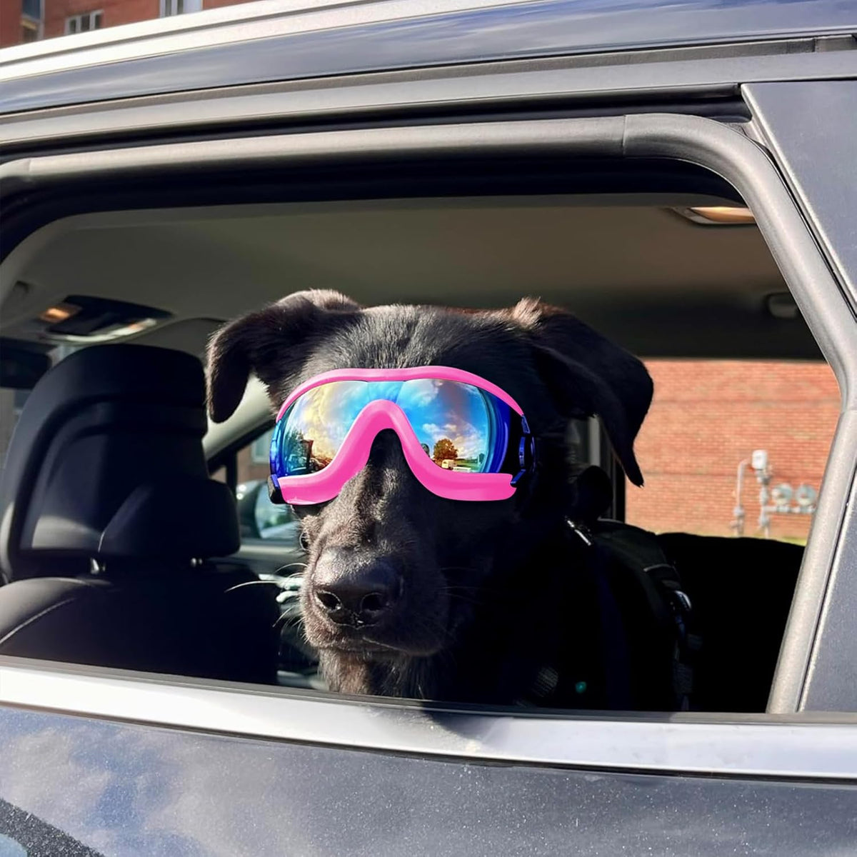 Large Dog Ski Goggles with Adjustable Straps
