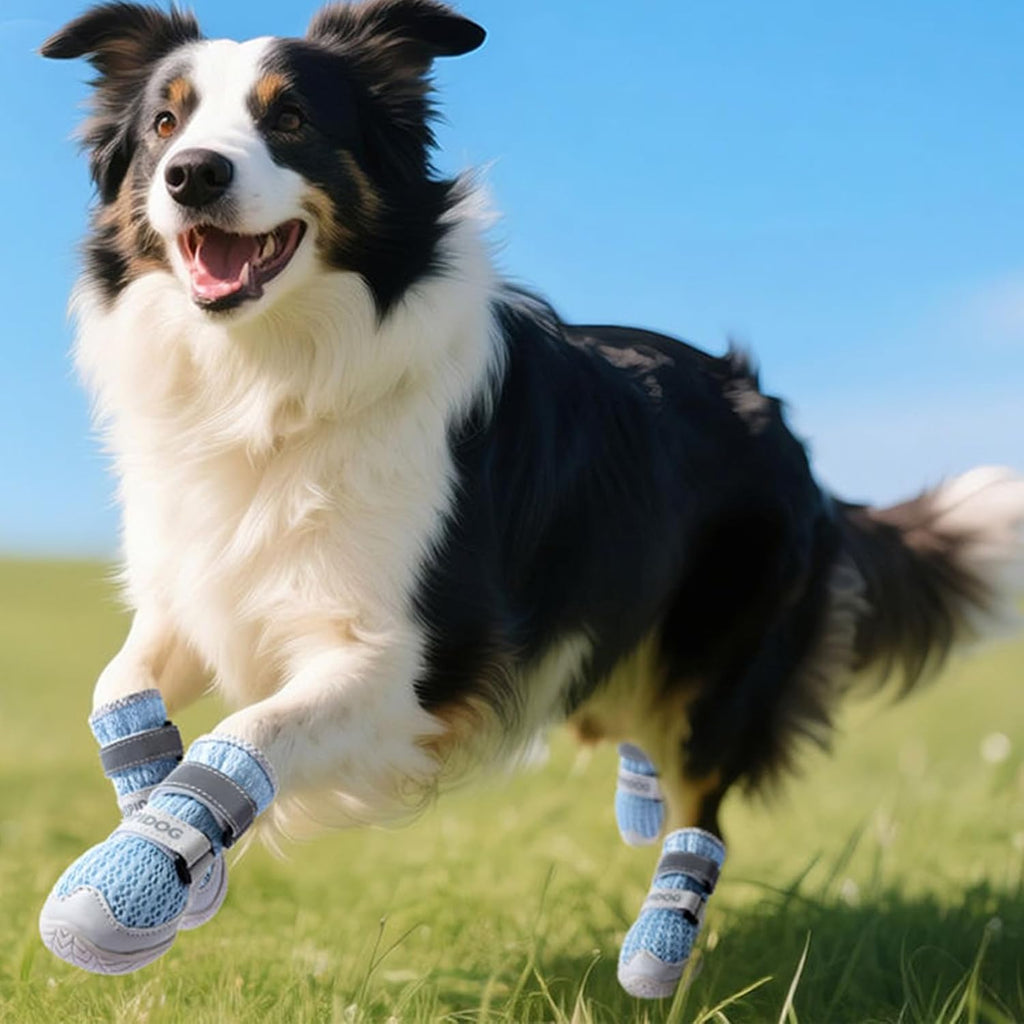 Breathable Mesh Dog Shoes with Adjustable Straps